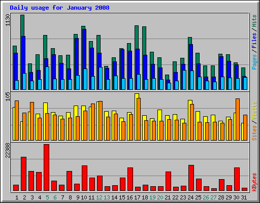 Daily usage for January 2008